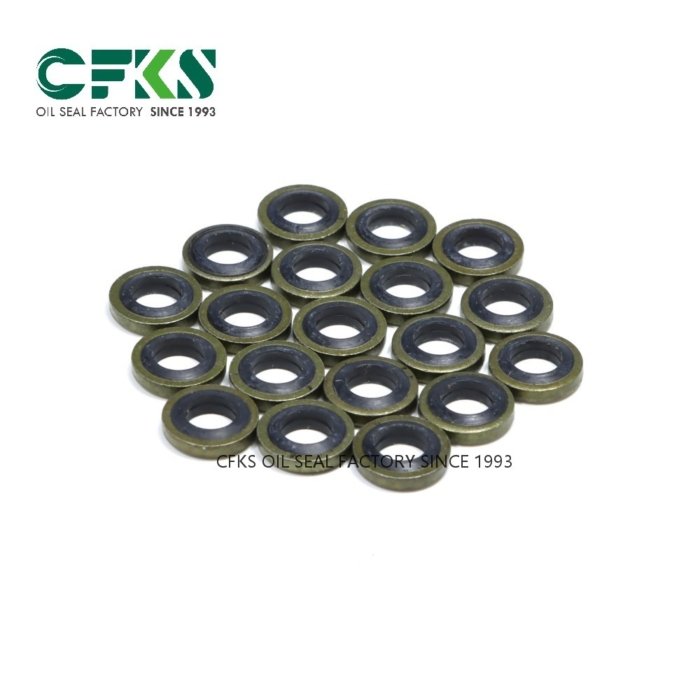 CFKS Combination Gasket Bonded Seal Dowty Seal Washer Oil Seal NBR FKM Bonded Washer Seal