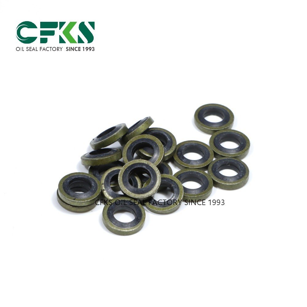 CFKS Combination Gasket Bonded Seal Dowty Seal Washer Oil Seal NBR FKM Bonded Washer Seal - Image 3