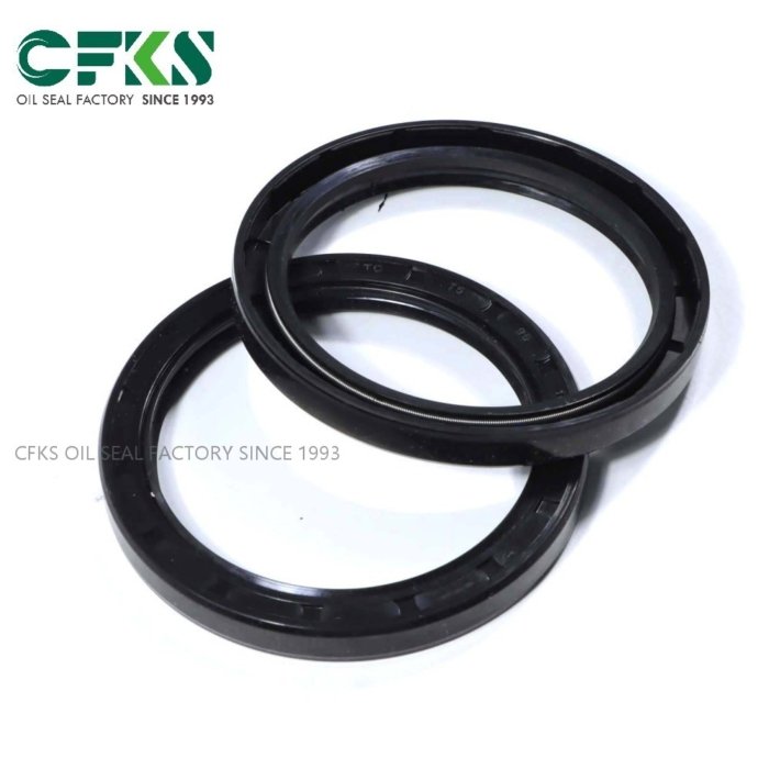 CFKS TC FKM 95*118*10 TG Nbr Oil Seal TG4 Oil Seal