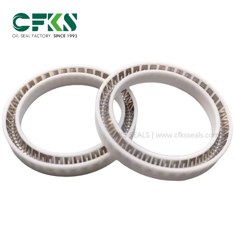 CFKS Spring Energized PTFE Seal Spring Energized Seal - Image 3