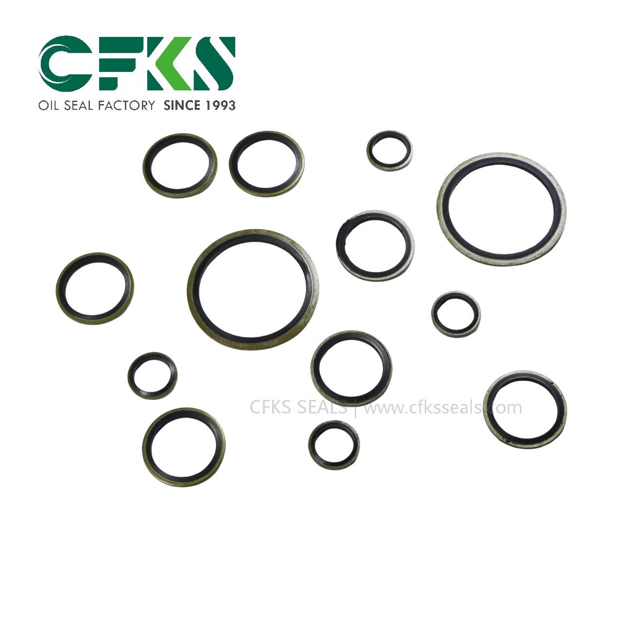 CFKS Self-Centering Dowty Seal NBR Bonded Seal Stainless Bonded Washer Kit - Image 2